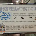 埼玉県立歴史と民俗の博物館の写真_78983