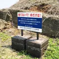 ヤセの断崖の写真_78989