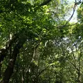 茶臼山の写真_7900