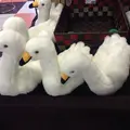 瓢湖水きん公園の写真_7922