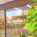 ボンジュールの写真_79242