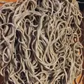 くに作の写真_79561