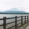 長池親水公園の写真_79644