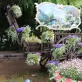 河口湖音楽と森の美術館（旧：オルゴールの森）の写真_79687