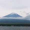 長池親水公園の写真_79695