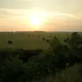 中標津牧場地帯の写真_7991