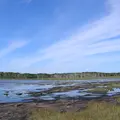 野付半島の写真_7992
