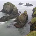 霧多布湿原の写真_7999