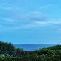 稲村ケ崎海浜公園の写真_80822