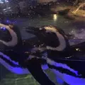 すみだ水族館の写真_81400