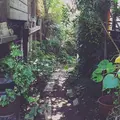 SPICE Cafe（スパイスカフェ）の写真_81668