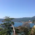 金華山（金華山島）の写真_8315