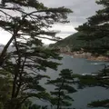 とどケ崎の写真_8333