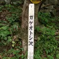 とどケ崎の写真_8334