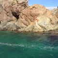 小袖海女センターの写真_8348