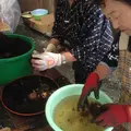 小袖海女センターの写真_8353