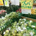 JAファーマーズマーケットやんばるの写真_8390