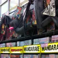 中野ブロードウェイの写真_8631