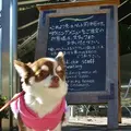 Le Pain Quotidien (ル・パン・コティディアン) 芝公園店の写真_8744