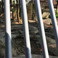 鬼山地獄の写真_88619