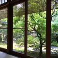 茶寮 宝泉の写真_88670