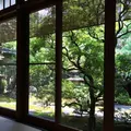 茶寮 宝泉の写真_88751