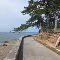 佐久島の写真_9176