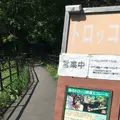 森のトロッコエコレールの写真_92172