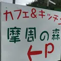 摩周の森の写真_92182
