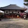 安居院（飛鳥寺）の写真_9504