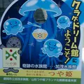 鶴岡市立加茂水族館（クラゲドリーム館）の写真_9579