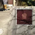 ダンディゾン（Dans Dix ans）の写真_9965