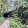 雄橋の写真_1000125