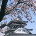 熱海城の写真_1000963