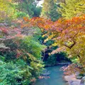 紅葉谷公園の写真_1006969