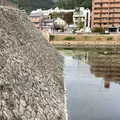 三原城 本丸跡の写真_1007237