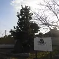 須佐野公園の写真_1007477
