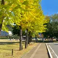 三之丸跡 堀之内公園の写真_1007487