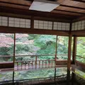 瑠璃光院の写真_1008268