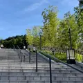 長門湯本温泉 竹林の階段の写真_1009276