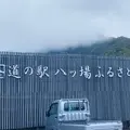 道の駅 八ッ場ふるさと館の写真_1010619