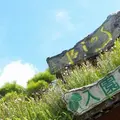 ビオスの丘の写真_1011905