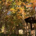 都立林試の森公園の写真_1014799