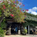 壺屋やちむん通りの写真_1017071