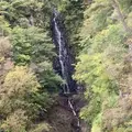 不動ノ滝の写真_1018910