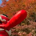 叡山電鉄鞍馬線 鞍馬駅の写真_1019411