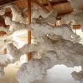 犬島「家プロジェクト」F邸の写真_1020058