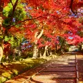 毘沙門堂の写真_1020062