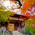 常寂光寺の写真_1020078