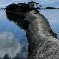 松島 馬の背の写真_1020696
